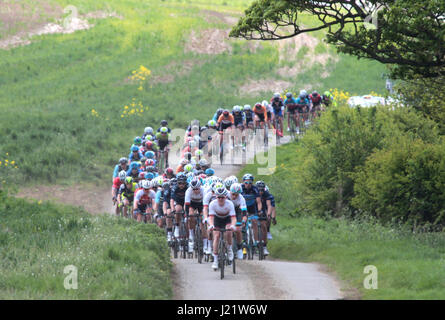 Rutland, UK. 23 avril, 2017. Rutland - Melton CiCLE Classic 2017. En photo : le peloton en voiture de Warcombe Farm Camping Park. Photo par Dan Matthams la photographie. Crédit : Daniel Matthams/Alamy Live News Banque D'Images