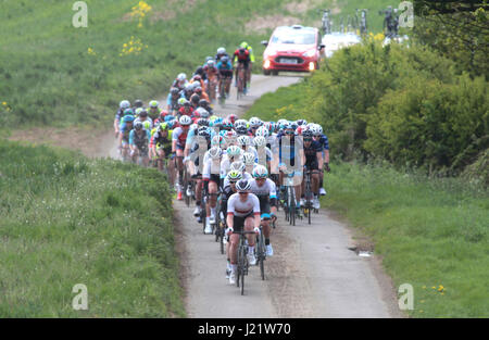 Rutland, UK. 23 avril, 2017. Rutland - Melton CiCLE Classic 2017. En photo : le peloton en voiture de Warcombe Farm Camping Park. Photo par Dan Matthams la photographie. Crédit : Daniel Matthams/Alamy Live News Banque D'Images