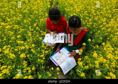 Les élèves lisent des livres nouveaux qu'ils obtiennent leurs nouveaux manuels pour nouvelle classe à Singair. Manikganj, Bangladesh Banque D'Images