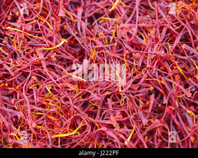 Un gros plan du safran, épice rouge provenant de la Crocus sativus fower. Banque D'Images