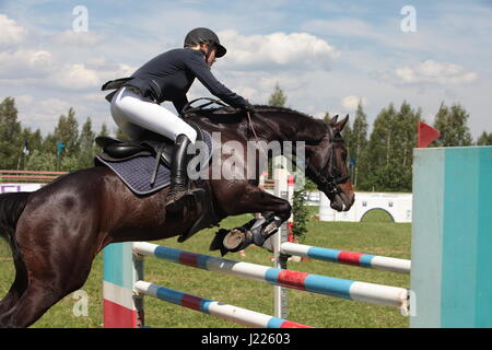 Jeune fille sur le cheval à la formation de saut Banque D'Images