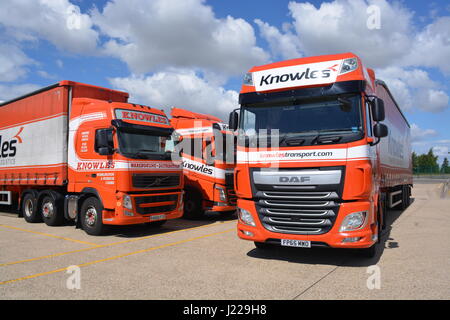 Volvo FH et les camions DAF XF Banque D'Images