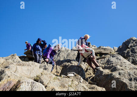 Regardant vers le bas sur les rochers, les randonneurs scrambling sur Lliwedd Y Mountain dans le parc national de Snowdonia. Gwynedd, Pays de Galles, Royaume-Uni, Angleterre Banque D'Images