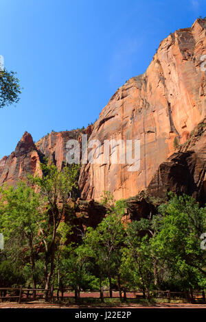 Panorama du Parc national de Zion, Utah USA. Des formations géologiques. Beau paysage Banque D'Images