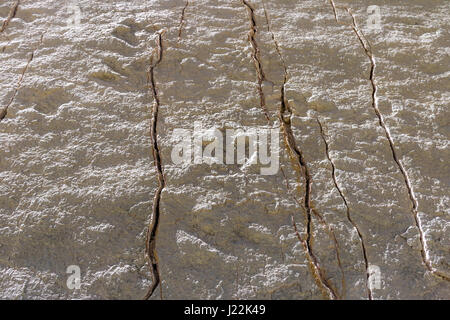 Traces de dinosaures sur Cal Orcko mur - Sucre, Bolivie Banque D'Images