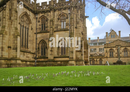 Façade extérieure sur le célèbre édifice médiéval de la cathédrale de la ville de Manchester au Royaume-Uni, au printemps Banque D'Images