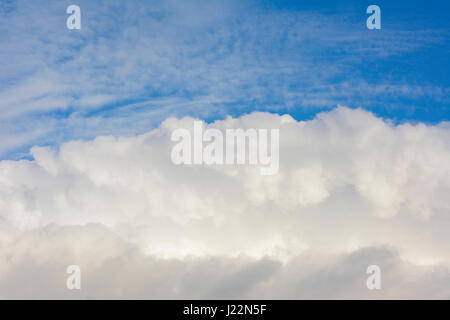 Cloudbank Cumulus contre un ciel bleu. Banque D'Images