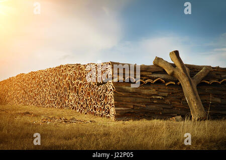 Un gros tas de matières cork l'écorce des arbres dans un parc naturel du paysage rural de Portugal Banque D'Images