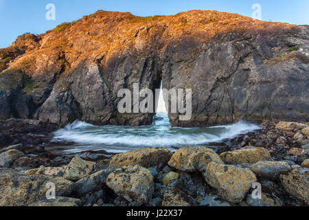 Marée tôt le matin par une arche naturelle d'éclaboussures à Harris Beach le long de la côte de l'Oregon, Harris Beach State Park, Oregon, USA. Banque D'Images