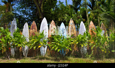 Mur de surf en Haiku sur Maui. Banque D'Images