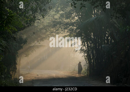 Du soleil qui brille sur le chemin rural en hiver matin à Dhaka, Bangladesh. Banque D'Images