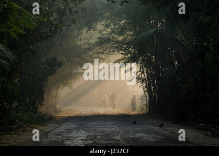 Du soleil qui brille sur le chemin rural en hiver matin à Dhaka, Bangladesh. Banque D'Images