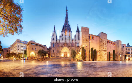 Panorama de Barcelone, quartier Gothique Cathédrale, Barri Banque D'Images