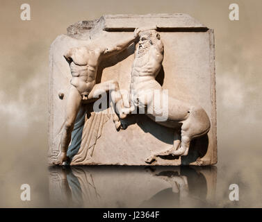 Sculpture de Lapiths Centaures et combattre du Metope du Parthénon sur l'acropole d'Athènes. Aussi connu sous le nom de marbres d'Elgin. La Muse Banque D'Images