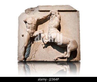 Sculpture de Lapiths Centaures et combattre du Metope du Parthénon sur l'acropole d'Athènes. Aussi connu sous le nom de marbres d'Elgin. La Muse Banque D'Images