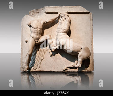 Sculpture de Lapiths Centaures et combattre du Metope du Parthénon sur l'acropole d'Athènes. Aussi connu sous le nom de marbres d'Elgin. La Muse Banque D'Images