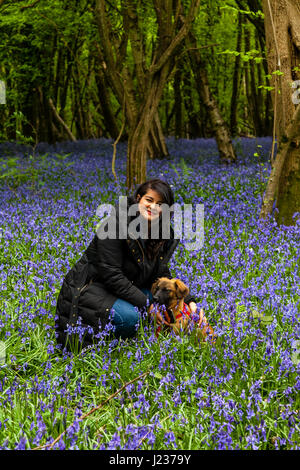 Une jeune femme avec son chien dans un bois Bluebell, Sussex, UK Banque D'Images