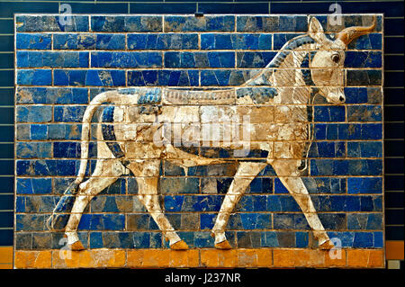 L'allégement de l'Aurochs photos sur vitrage briques de la porte d'Ishtar, Babylone, l'Iraq construit dans environ 575 avant J.-C., Musée archéologique d'Istanbul. Banque D'Images