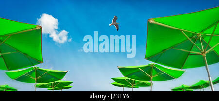 Parasols sur la plage avec ciel bleu et Sea Gull Banque D'Images