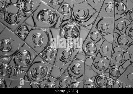 Détail microscopique de quelques oeufs séchés en gris blanc retour Banque D'Images