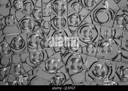 Détail microscopique de quelques oeufs séchés en gris blanc retour Banque D'Images