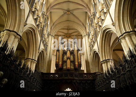 Beverley Minster, Beverley, East Yorkshire, Royaume-Uni Banque D'Images