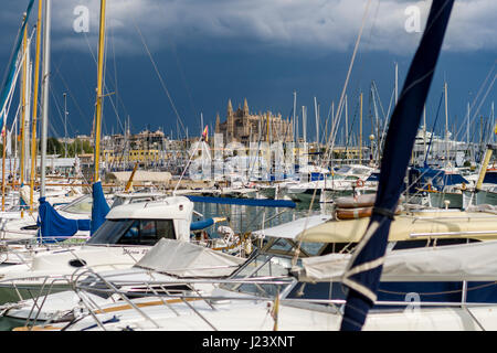 La cathédrale de Santa Maria, la seu, vu à travers les pôles d'sailingboats dans le port Banque D'Images