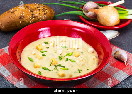 Crème de légumes soupe avec des croûtons. Studio Photo Banque D'Images