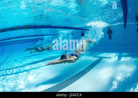 Nager à la formation d'hiver Jacobs Aquatic Centre, décembre 2014, l'Université Duke de Key Largo, en Floride Banque D'Images