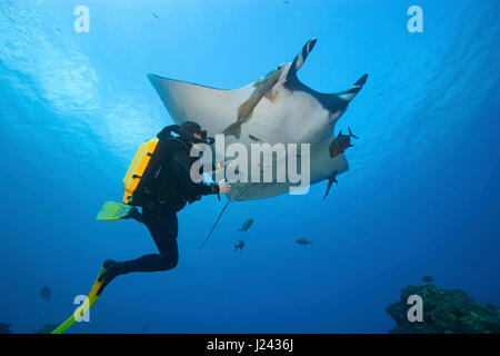 Plongeur avec Manta Ray, au Mexique. Banque D'Images