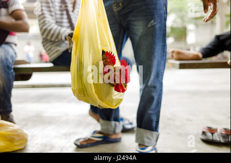 Kuala Lumpur, Malaisie. Apr 24, 2017. Travailleur du Bangladesh porte des poulets dans un sac en plastique sur la Kota Raya bus station le 24 avril 2017 à Kuala Lumpur, Malaisie. Crédit : Chris Jung/ZUMA/Alamy Fil Live News Banque D'Images