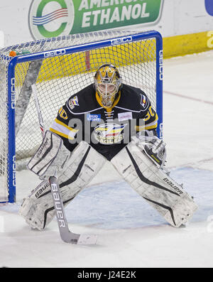 Denver, Colorado, États-Unis. Apr 15, 2017. Eagles G LUKAS HAFNER se prépare pour le jeu de venir à lui au cours de la 3ème. Période à la Budweiser Events Center samedi soir. L'Eagles battre les steelheads 2-1 et lier la série 1-1. Credit : Hector Acevedo/ZUMA/Alamy Fil Live News Banque D'Images