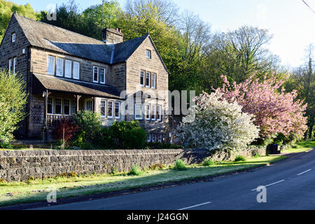 Lea Bridge, Derbyshire, Royaume-Uni. 25 avril 2017. Lumineuse, ensoleillée de commencer la journée avec un léger gel la nuit dans la belle Bowood près de canal de Cromford dans la vallée de la Derwent. Crédit : Ian Francis/Alamy Live News Banque D'Images