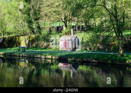 Lea Bridge, Derbyshire, Royaume-Uni. 25 avril 2017. Lumineuse, ensoleillée de commencer la journée avec un léger gel la nuit dans la belle Bowood près de canal de Cromford dans la vallée de la Derwent. Crédit : Ian Francis/Alamy Live News Banque D'Images