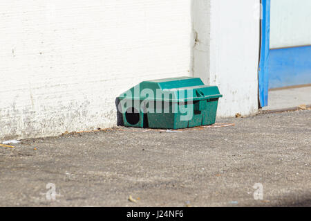 Piège à rat poison fort sur le plancher près de wall Banque D'Images