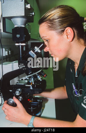 Une infirmière vétérinaire à l'aide d'un microscope à la Croix Bleue, Animal Hospital, Victoria, London, Royaume-Uni Banque D'Images