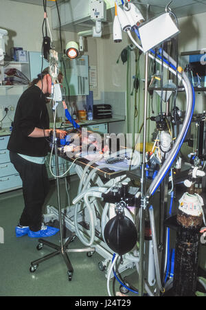 Un vétérinaire à l'infirmière en salle d'opération à la Croix Bleue, Animal Hospital, Victoria, London, Royaume-Uni Banque D'Images