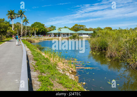 Centre de visiteurs à l'anhinga Trail populaire au Royal Palms Visitor Center dans le parc national des Everglades en Floride Banque D'Images