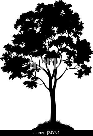 La silhouette des arbres d'érable Illustration de Vecteur