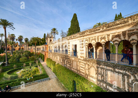 Palais Royal (Alcazar) Séville, Andalousie, Espagne, Europe Banque D'Images