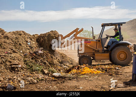 Tucson, Arizona - Le Compost les chats, une organisation étudiante de l'Université de l'Arizona, les composts de déchets alimentaires de la ville de Tucson, la détournant de landf Banque D'Images