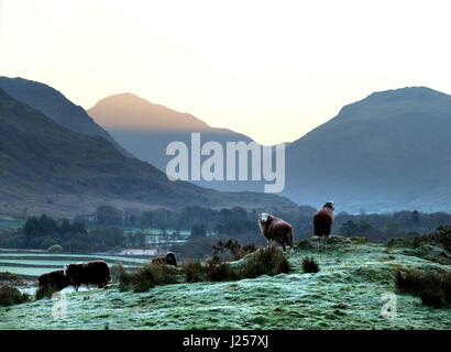 Lever de soleil sur un matin de printemps dans l'Englsh Lake District, Cumbria, Wastdale Banque D'Images