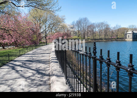 Le réservoir de jogging, de Central Park au printemps, NEW YORK, USA Banque D'Images