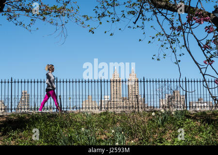 Le réservoir de jogging, de Central Park au printemps, NEW YORK, USA Banque D'Images