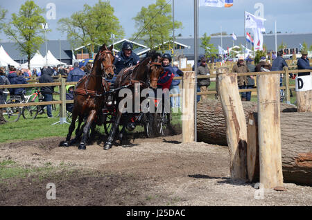 Transport international des concours de conduite, Horst, Limbourg Pays-Bas Banque D'Images