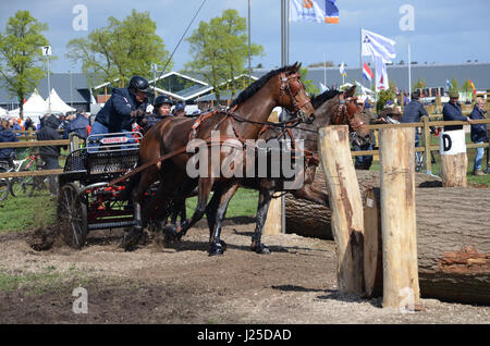 Transport international des concours de conduite, Horst, Limbourg Pays-Bas Banque D'Images