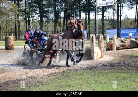 Transport international des concours de conduite, Horst, Limbourg Pays-Bas Banque D'Images