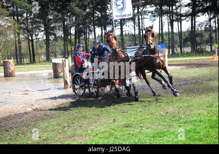 Transport international des concours de conduite, Horst, Limbourg Pays-Bas Banque D'Images