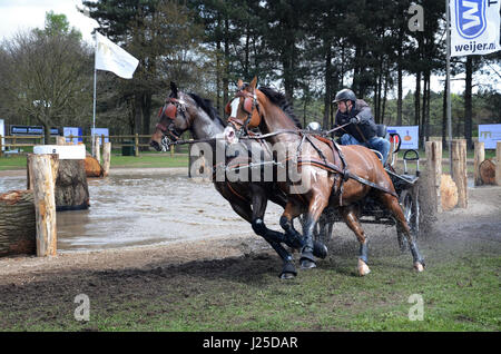 Transport international des concours de conduite, Horst, Limbourg Pays-Bas Banque D'Images