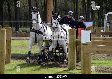 Transport international des concours de conduite, Horst, Limbourg Pays-Bas Banque D'Images